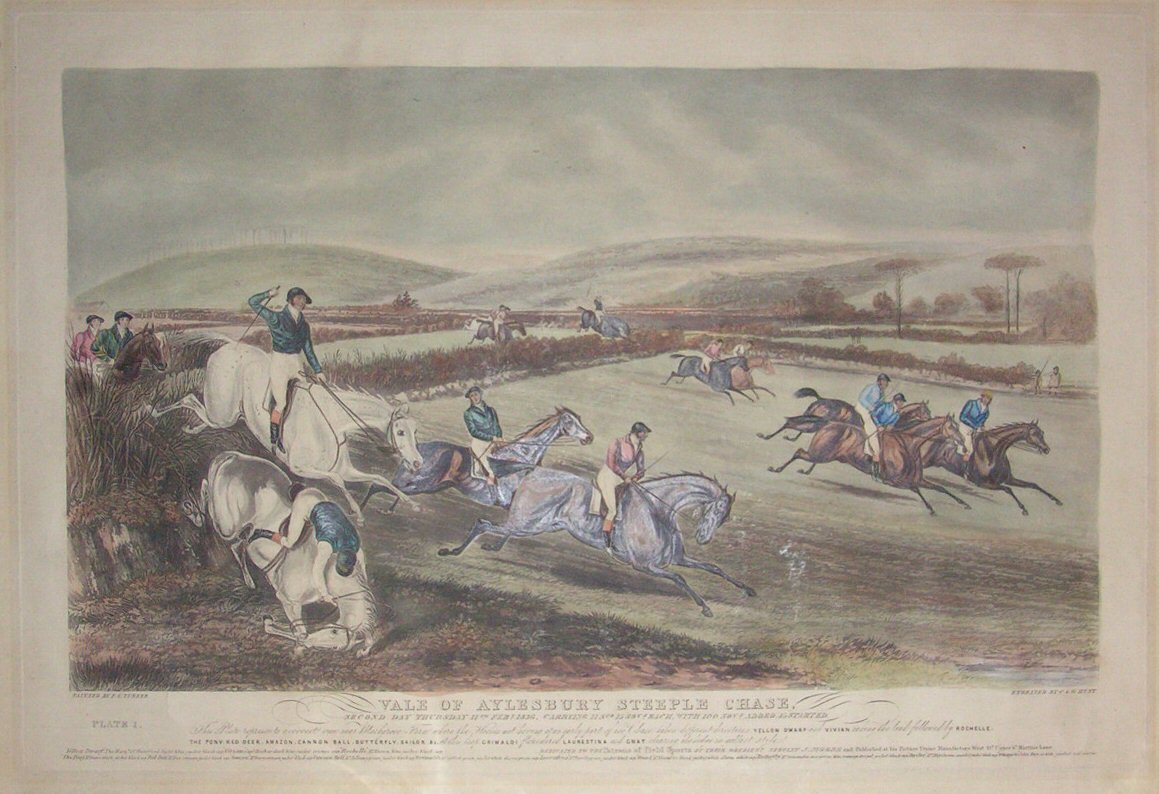 Aquatint - Vale of Aylesbury Steeple Chase - Hunt